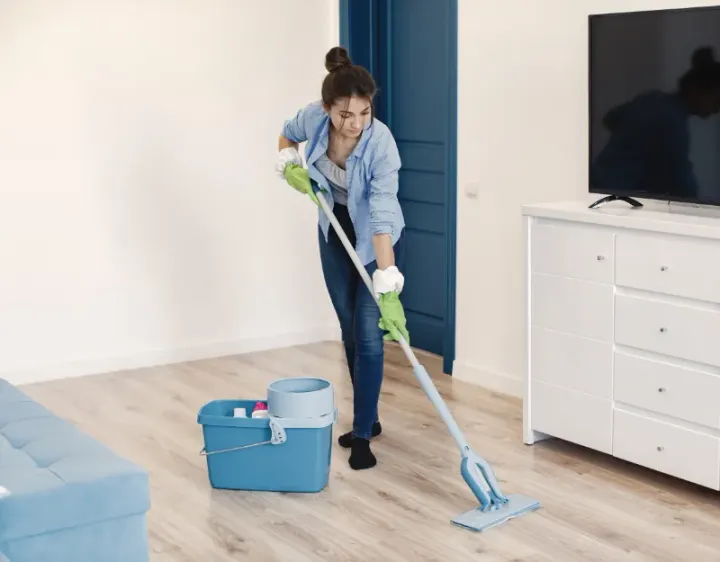 Femme de ménage Villedieu-le-Château